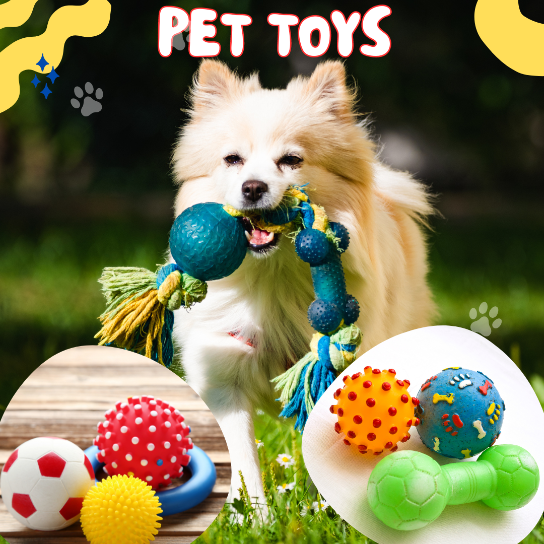 Pet Toys