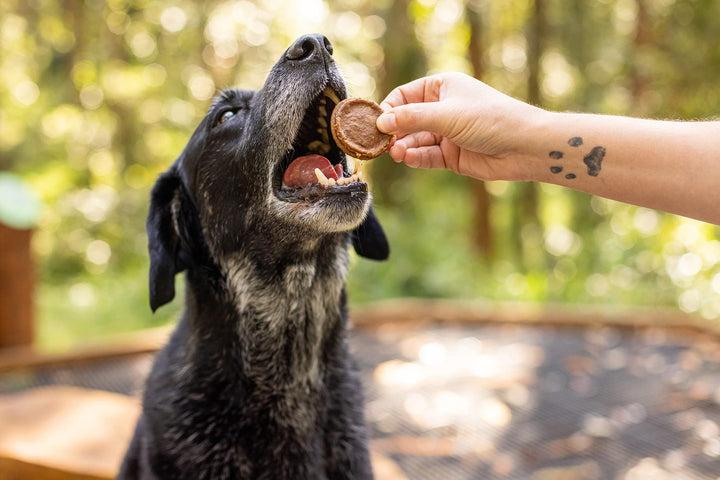 ALL BARKS Aussie Mini Burgers Chicken & Superfood Dog Treats 110g