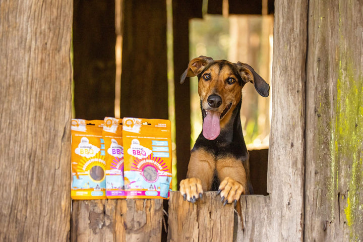 ALL BARKS Aussie Mini Burgers Chicken & Superfood Dog Treats 110g