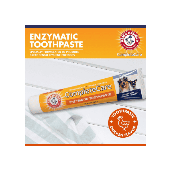 Arm & Hammer Dog Toothpaste 6.2 oz – Tartar Control with Delicious Chicken Flavor