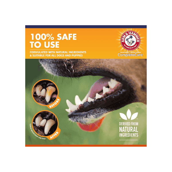 Arm & Hammer Dog Toothpaste 6.2 oz – Tartar Control with Delicious Chicken Flavor