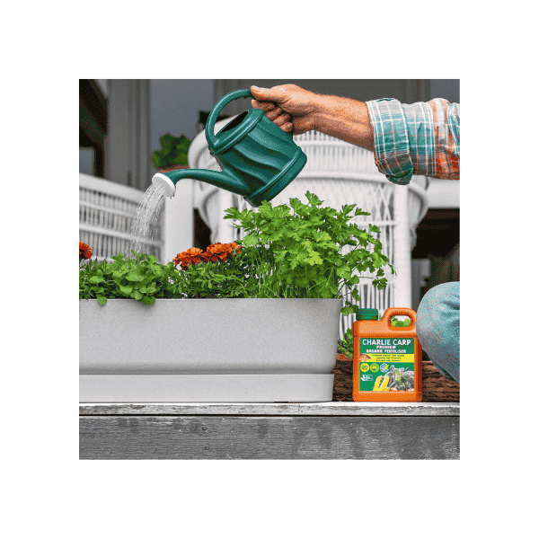 Charlie Carp Certified Organic Fertiliser 1L Sustainable & Effective Garden and Tree Food