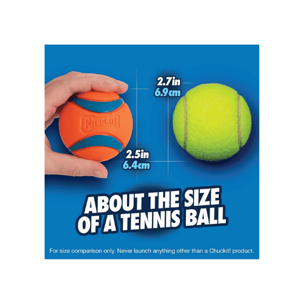 Chuckit! Ultra Ball 2-Pack – 2.5-Inch Medium Balls in Orange/Blue for Active Dogs