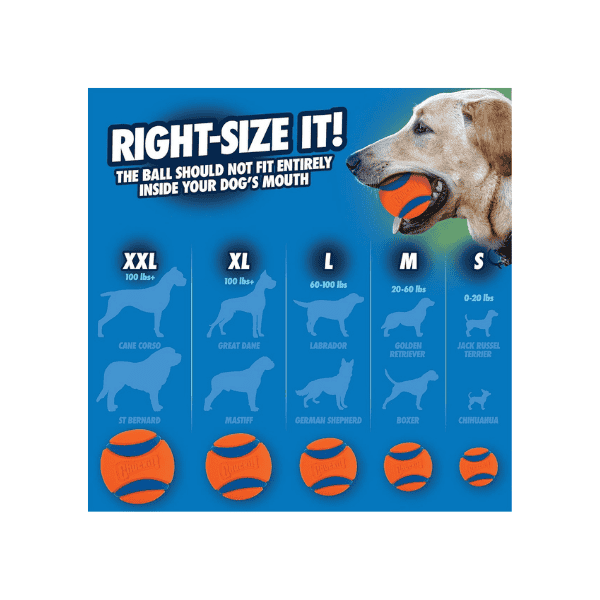 Chuckit! Ultra Ball 2-Pack – 2.5-Inch Medium Balls in Orange/Blue for Active Dogs