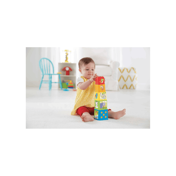 Fisher-Price Nesting and Stacking Blocks Engaging Toys for Early Development