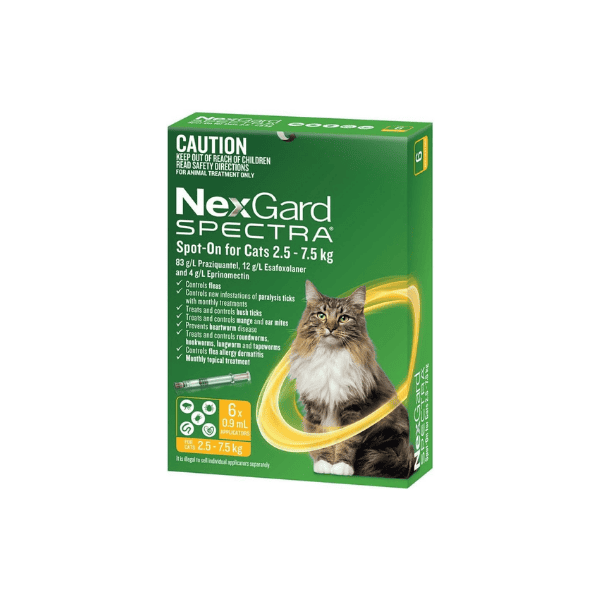 NEXGARD SPECTRA 6-Pack for Large Cats Flea Tick Heartworm & Worm Defense