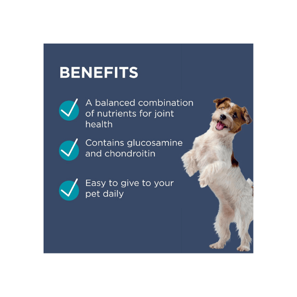 PAW Osteocare® Joint Protect 30 Chews for Small Dogs Ideal for Joint Health & Mobility