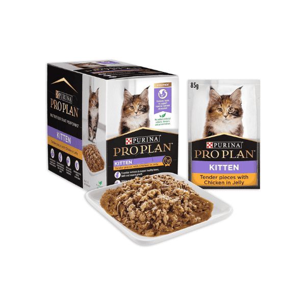 PRO PLAN Chicken in Jelly Kitten Wet Cat Food 12x85g for Optimal Development