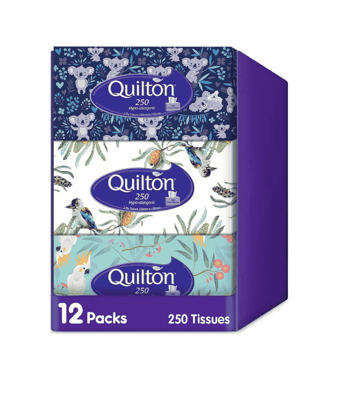 Quilton Hypoallergenic 2-Ply Facial Tissues 250 Tissues per Pack Pack of 12