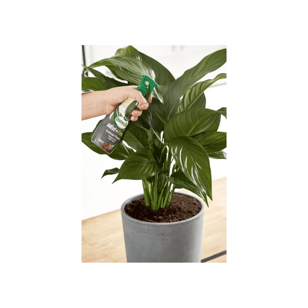 Scott's Osmocote 236 ml Mist & Feed All-in-One Solution for Houseplant Growth