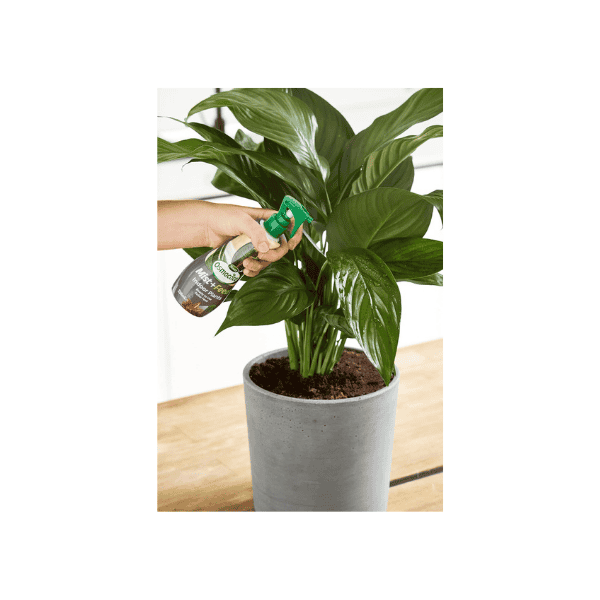 Scott's Osmocote 236 ml Mist & Feed All-in-One Solution for Houseplant Growth