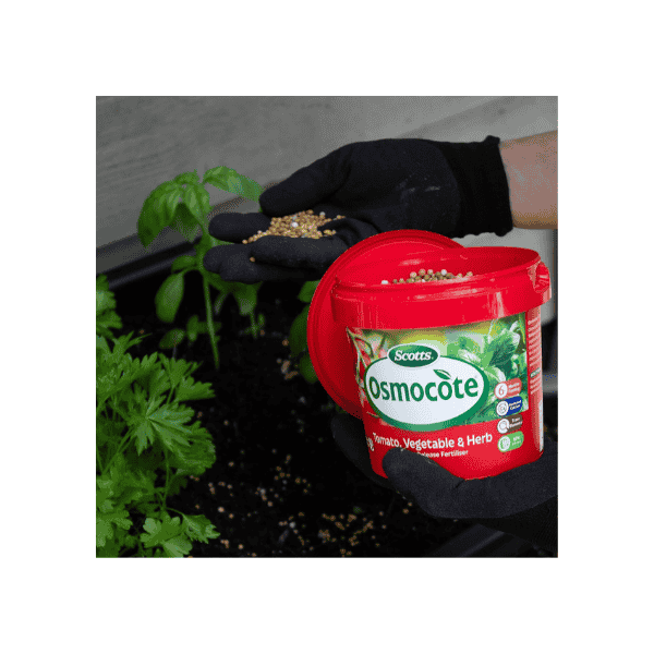 Scotts Osmocote Tomato & Vegetable Fertiliser 700g 6-Month Feed with Trace Elements