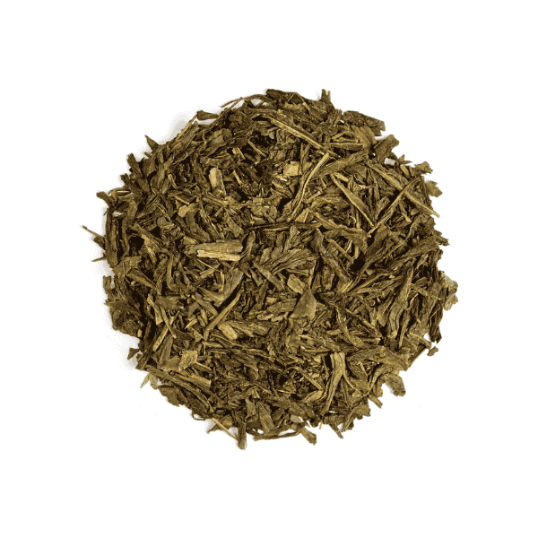 T2 Gorgeous Geisha Green Tea Premium Loose Leaf in Icon Tin 100g for Pure Flavor