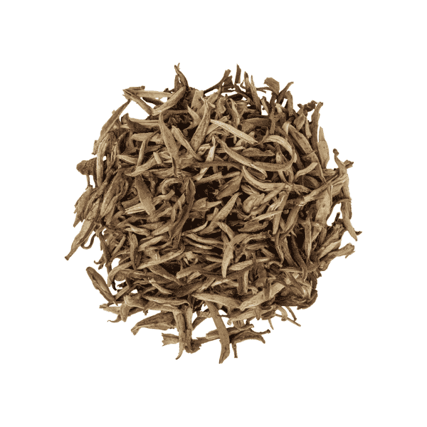 T2 Tea White Jasmine 50g Loose Leaf with Silver Needles Sweet Jasmine