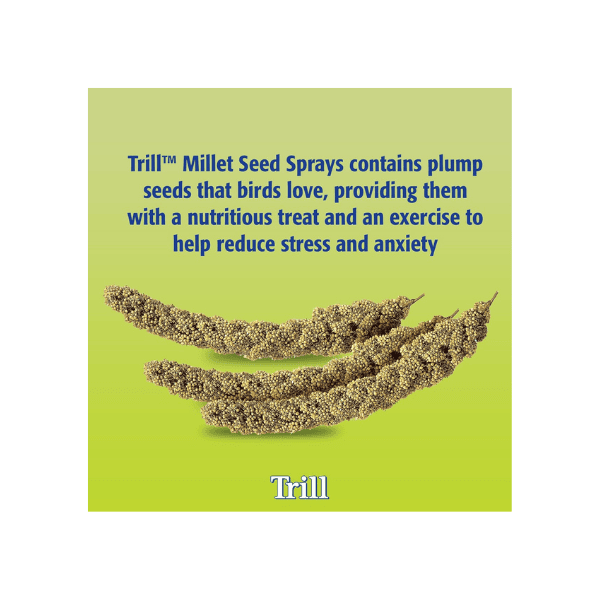 Trill Millet Spray for Birds 150g Nutritious Bird Treat for Stress Relief and Nibbling Exercise