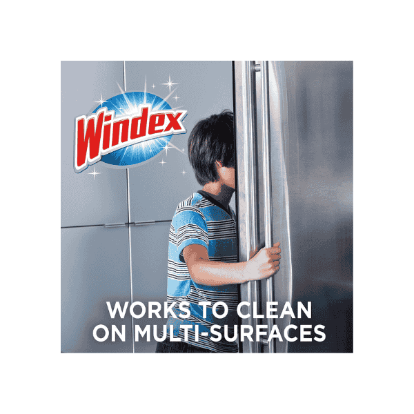 Windex Multi-Purpose Surface & Glass Cleaner 750 mL Floral Scent